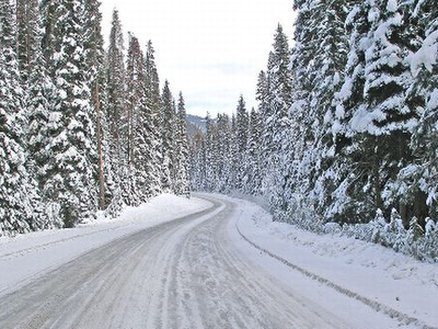 Фото с сайта Вести.Ru Фото с сайта Вести.Ru