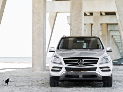Mercedes-Benz M-Класс Mercedes-Benz M-Класс